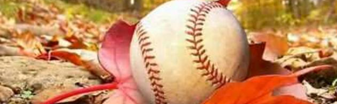 FC ANNOUNCES FALL BASEBALL CLINICS 