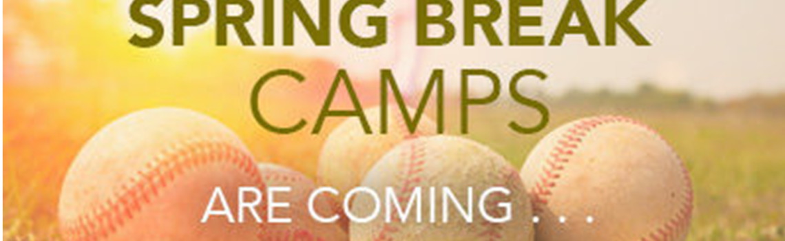 2026 SPRING BREAK BASEBALL CAMP