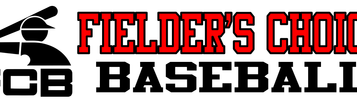 8U TRAVEL BASEBALL TRYOUT FALL SEASON/WINTER PRACTICE 2025-2026